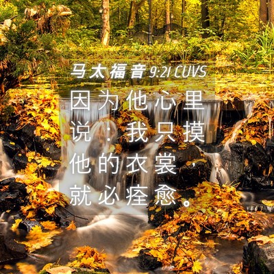Picture 04 - 马 太 福 音 9:21 CUVS - 因 为 他 心 里 说 ： 我 只 摸 他 的 - Bible Verse Picture