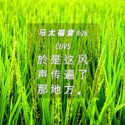 Picture 04 - 马 太 福 音 9:26 CUVS - 於 是 这 风 声 传 遍 了 那 地 方 - Bible Verse Picture