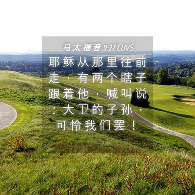 Picture 04 - 马 太 福 音 9:27 CUVS - 耶 稣 从 那 里 往 前 走 ， 有 两 个 - Bible Verse Picture