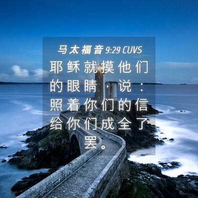 Picture 04 - 马 太 福 音 9:29 CUVS - 耶 稣 就 摸 他 们 的 眼 睛 ， 说 ： - Bible Verse Picture