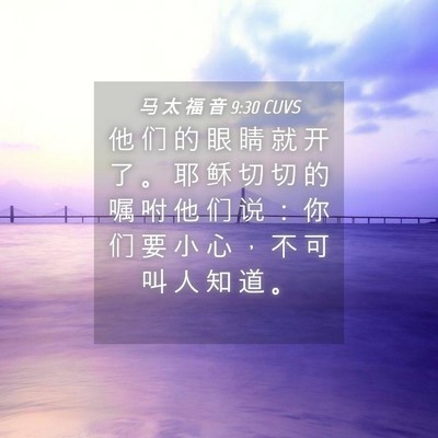 Picture 04 - 马 太 福 音 9:30 CUVS - 他 们 的 眼 睛 就 开 了 。 耶 稣 切 - Bible Verse Picture