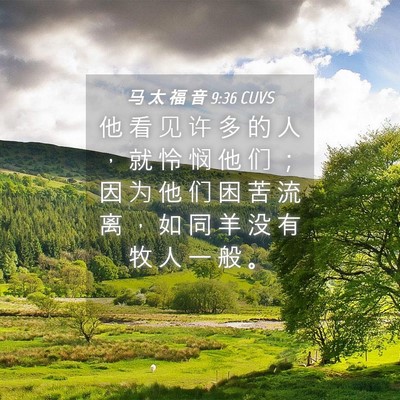 Picture 04 - 马 太 福 音 9:36 CUVS - 他 看 见 许 多 的 人 ， 就 怜 悯 他 - Bible Verse Picture