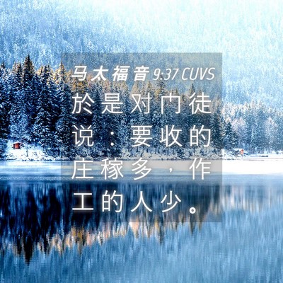 Picture 04 - 马 太 福 音 9:37 CUVS - 於 是 对 门 徒 说 ： 要 收 的 庄 稼 - Bible Verse Picture