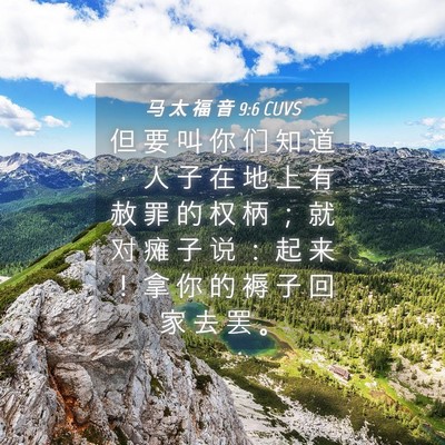 Picture 04 - 马 太 福 音 9:6 CUVS - 但 要 叫 你 们 知 道 ， 人 子 在 地 - Bible Verse Picture