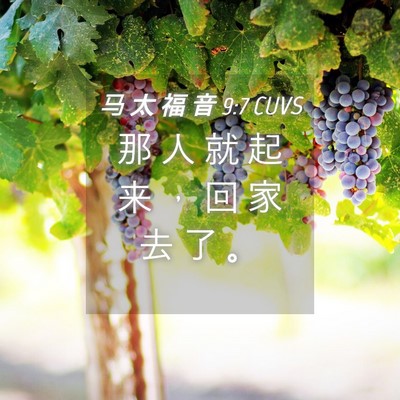 Picture 04 - 马 太 福 音 9:7 CUVS - 那 人 就 起 来 ， 回 家 去 了 - Bible Verse Picture