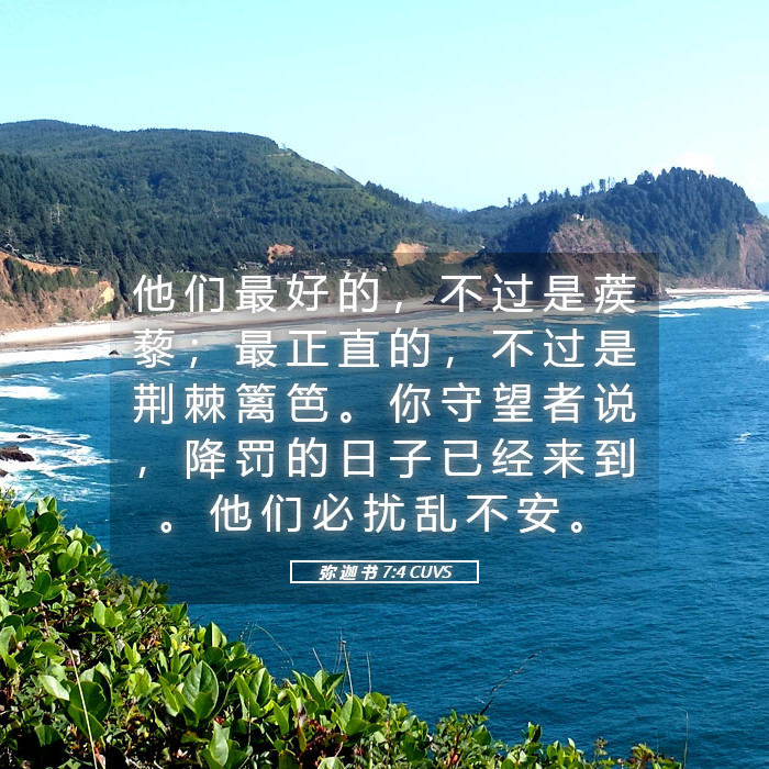 弥 迦 书 7:4 CUVS - 他 们 最 好 的 , 不 过 是 蒺 藜