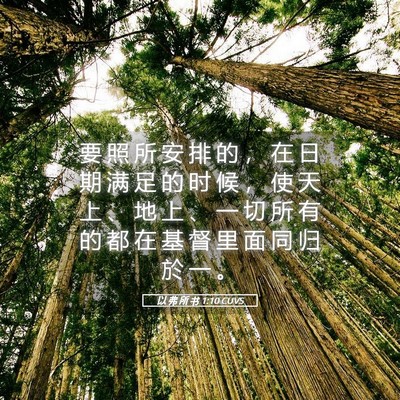 Picture 05 - 以 弗 所 书 1:10 CUVS - 要 照 所 安 排 的 ， 在 日 期 满 足 - Bible Verse Picture