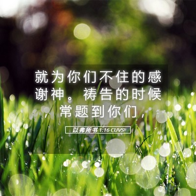 Picture 05 - 以 弗 所 书 1:16 CUVS - 就 为 你 们 不 住 的 感 谢 神 。 祷 - Bible Verse Picture