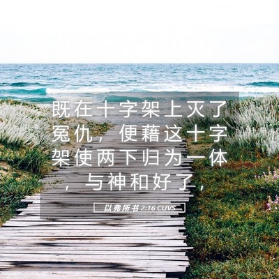 Picture 05 - 以 弗 所 书 2:16 CUVS - 既 在 十 字 架 上 灭 了 冤 仇 ， 便 - Bible Verse Picture