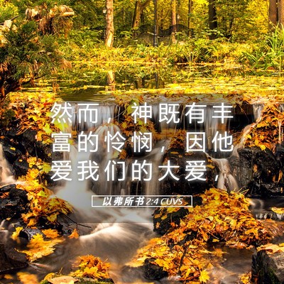 Picture 05 - 以 弗 所 书 2:4 CUVS - 然 而 ， 神 既 有 丰 富 的 怜 悯 ， - Bible Verse Picture