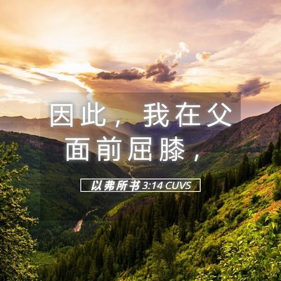 Picture 05 - 以 弗 所 书 3:14 CUVS - 因 此 ， 我 在 父 面 前 屈 膝 - Bible Verse Picture