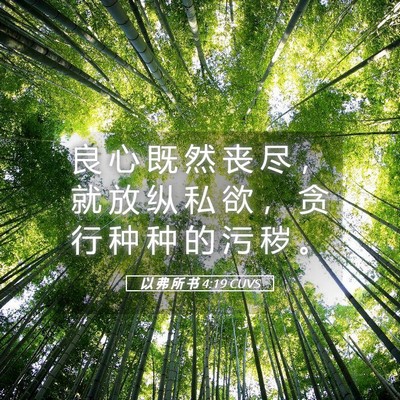 Picture 05 - 以 弗 所 书 4:19 CUVS - 良 心 既 然 丧 尽 ， 就 放 纵 私 欲 - Bible Verse Picture
