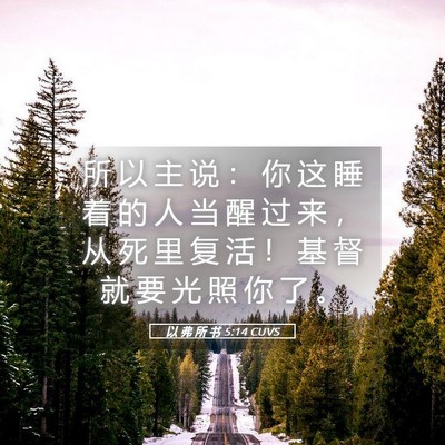 Picture 05 - 以 弗 所 书 5:14 CUVS - 所 以 主 说 ： 你 这 睡 着 的 人 当 - Bible Verse Picture
