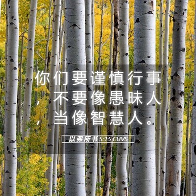 Picture 05 - 以 弗 所 书 5:15 CUVS - 你 们 要 谨 慎 行 事 ， 不 要 像 愚 - Bible Verse Picture