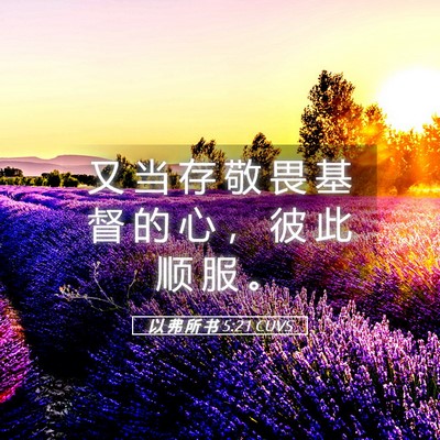 Picture 05 - 以 弗 所 书 5:21 CUVS - 又 当 存 敬 畏 基 督 的 心 ， 彼 此 - Bible Verse Picture