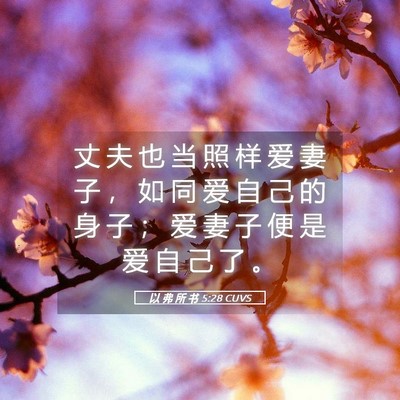 Picture 05 - 以 弗 所 书 5:28 CUVS - 丈 夫 也 当 照 样 爱 妻 子 ， 如 同 - Bible Verse Picture