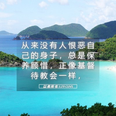 Picture 05 - 以 弗 所 书 5:29 CUVS - 从 来 没 有 人 恨 恶 自 己 的 身 子 - Bible Verse Picture