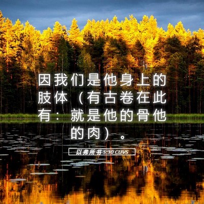 Picture 05 - 以 弗 所 书 5:30 CUVS - 因 我 们 是 他 身 上 的 肢 体 （ 有 - Bible Verse Picture