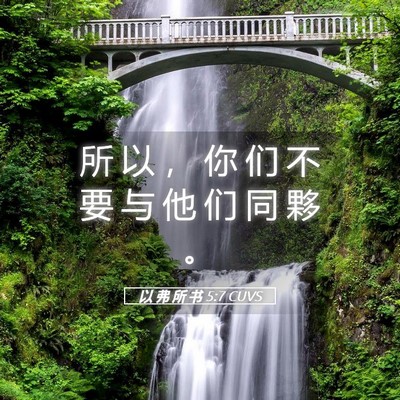 Picture 05 - 以 弗 所 书 5:7 CUVS - 所 以 ， 你 们 不 要 与 他 们 同 夥 - Bible Verse Picture