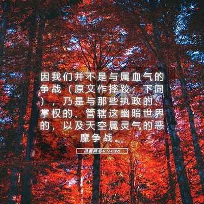 Picture 05 - 以 弗 所 书 6:12 CUVS - 因 我 们 并 不 是 与 属 血 气 的 争 - Bible Verse Picture