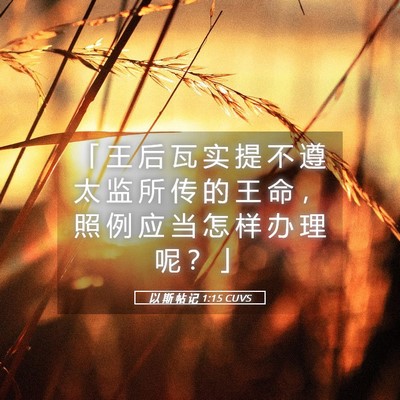 Picture 05 - 以 斯 帖 记 1:15 CUVS - 「 王 后 瓦 实 提 不 遵 太 监 所 传 - Bible Verse Picture