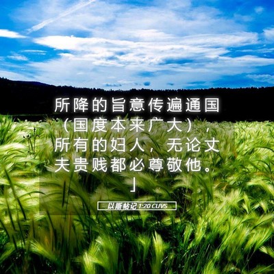Picture 05 - 以 斯 帖 记 1:20 CUVS - 所 降 的 旨 意 传 遍 通 国 （ 国 度 - Bible Verse Picture