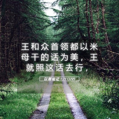 Picture 05 - 以 斯 帖 记 1:21 CUVS - 王 和 众 首 领 都 以 米 母 干 的 话 - Bible Verse Picture