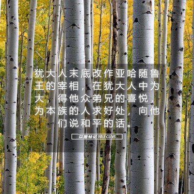 Picture 05 - 以 斯 帖 记 10:3 CUVS - 犹 大 人 末 底 改 作 亚 哈 随 鲁 王 - Bible Verse Picture