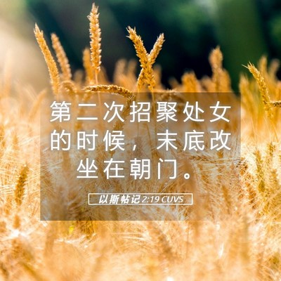 Picture 05 - 以 斯 帖 记 2:19 CUVS - 第 二 次 招 聚 处 女 的 时 候 ， 末 - Bible Verse Picture