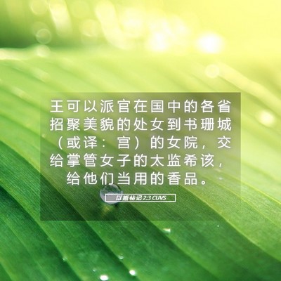 Picture 05 - 以 斯 帖 记 2:3 CUVS - 王 可 以 派 官 在 国 中 的 各 省 招 - Bible Verse Picture