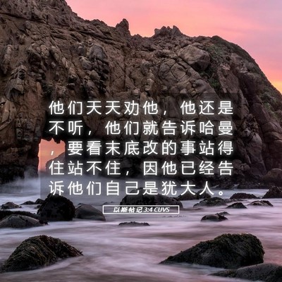 Picture 05 - 以 斯 帖 记 3:4 CUVS - 他 们 天 天 劝 他 ， 他 还 是 不 听 - Bible Verse Picture