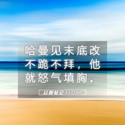 Picture 05 - 以 斯 帖 记 3:5 CUVS - 哈 曼 见 末 底 改 不 跪 不 拜 ， 他 - Bible Verse Picture