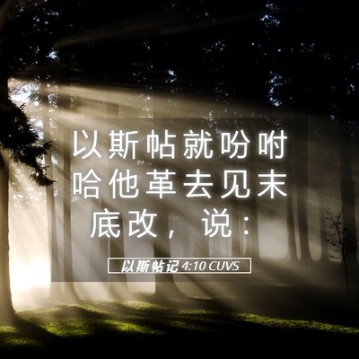 Picture 05 - 以 斯 帖 记 4:10 CUVS - 以 斯 帖 就 吩 咐 哈 他 革 去 见 末 - Bible Verse Picture