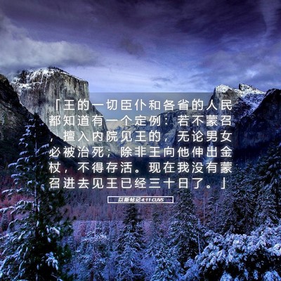 Picture 05 - 以 斯 帖 记 4:11 CUVS - 「 王 的 一 切 臣 仆 和 各 省 的 人 - Bible Verse Picture