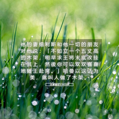 Picture 05 - 以 斯 帖 记 5:14 CUVS - 他 的 妻 细 利 斯 和 他 一 切 的 朋 - Bible Verse Picture