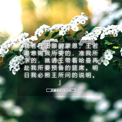 Picture 05 - 以 斯 帖 记 5:8 CUVS - 我 若 在 王 眼 前 蒙 恩 ， 王 若 愿 - Bible Verse Picture