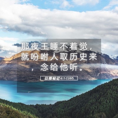Picture 05 - 以 斯 帖 记 6:1 CUVS - 那 夜 王 睡 不 着 觉 ， 就 吩 咐 人 - Bible Verse Picture