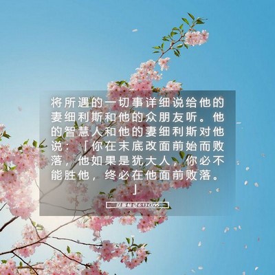 Picture 05 - 以 斯 帖 记 6:13 CUVS - 将 所 遇 的 一 切 事 详 细 说 给 他 - Bible Verse Picture