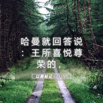 Picture 05 - 以 斯 帖 记 6:7 CUVS - 哈 曼 就 回 答 说 ： 王 所 喜 悦 尊 - Bible Verse Picture