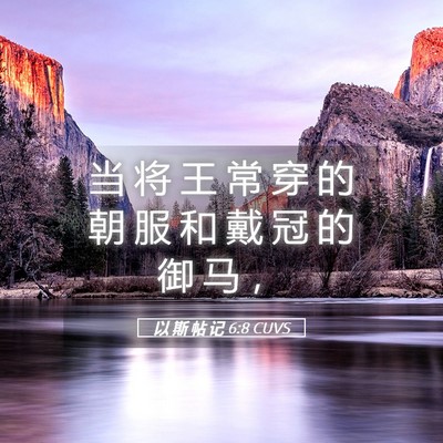 Picture 05 - 以 斯 帖 记 6:8 CUVS - 当 将 王 常 穿 的 朝 服 和 戴 冠 的 - Bible Verse Picture