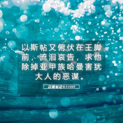 Picture 05 - 以 斯 帖 记 8:3 CUVS - 以 斯 帖 又 俯 伏 在 王 脚 前 ， 流 - Bible Verse Picture
