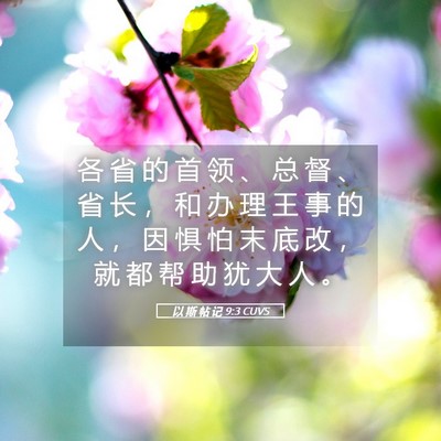 Picture 05 - 以 斯 帖 记 9:3 CUVS - 各 省 的 首 领 、 总 督 、 省 长 ， - Bible Verse Picture
