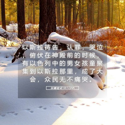 Picture 05 - 以 斯 拉 记 10:1 CUVS - 以 斯 拉 祷 告 ， 认 罪 ， 哭 泣 ， - Bible Verse Picture