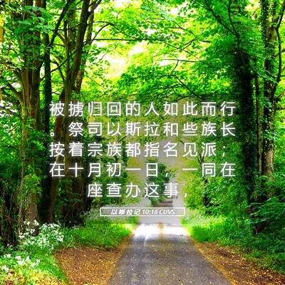 Picture 05 - 以 斯 拉 记 10:16 CUVS - 被 掳 归 回 的 人 如 此 而 行 。 祭 - Bible Verse Picture
