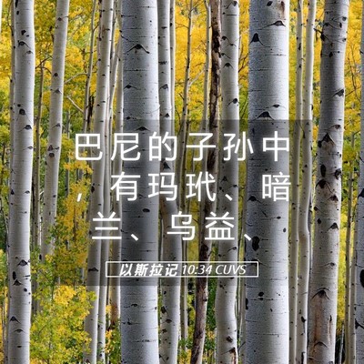 Picture 05 - 以 斯 拉 记 10:34 CUVS - 巴 尼 的 子 孙 中 ， 有 玛 玳 、 暗 - Bible Verse Picture