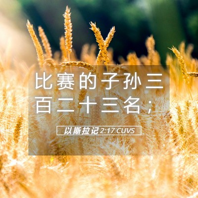 Picture 05 - 以 斯 拉 记 2:17 CUVS - 比 赛 的 子 孙 三 百 二 十 三 名 - Bible Verse Picture