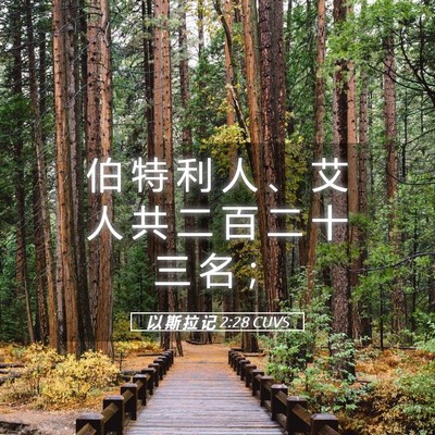 Picture 05 - 以 斯 拉 记 2:28 CUVS - 伯 特 利 人 、 艾 人 共 二 百 二 十 - Bible Verse Picture