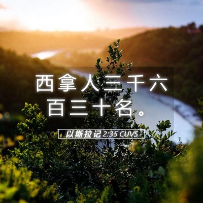 Picture 05 - 以 斯 拉 记 2:35 CUVS - 西 拿 人 三 千 六 百 三 十 名 - Bible Verse Picture