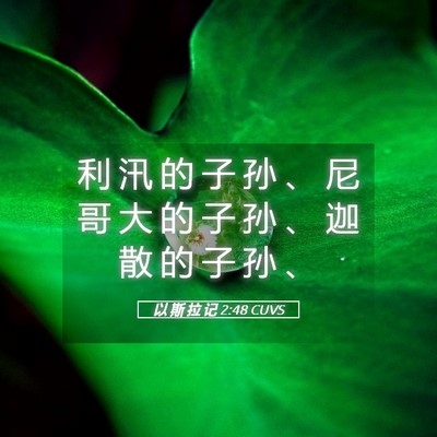 Picture 05 - 以 斯 拉 记 2:48 CUVS - 利 汛 的 子 孙 、 尼 哥 大 的 子 孙 - Bible Verse Picture