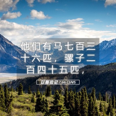 Picture 05 - 以 斯 拉 记 2:66 CUVS - 他 们 有 马 七 百 三 十 六 匹 ， 骡 - Bible Verse Picture